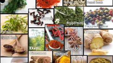 What are 3 common herbs or spices?