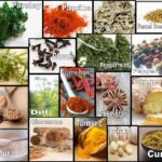 What are 3 common herbs or spices?
