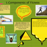 What are 5 components of a casserole?