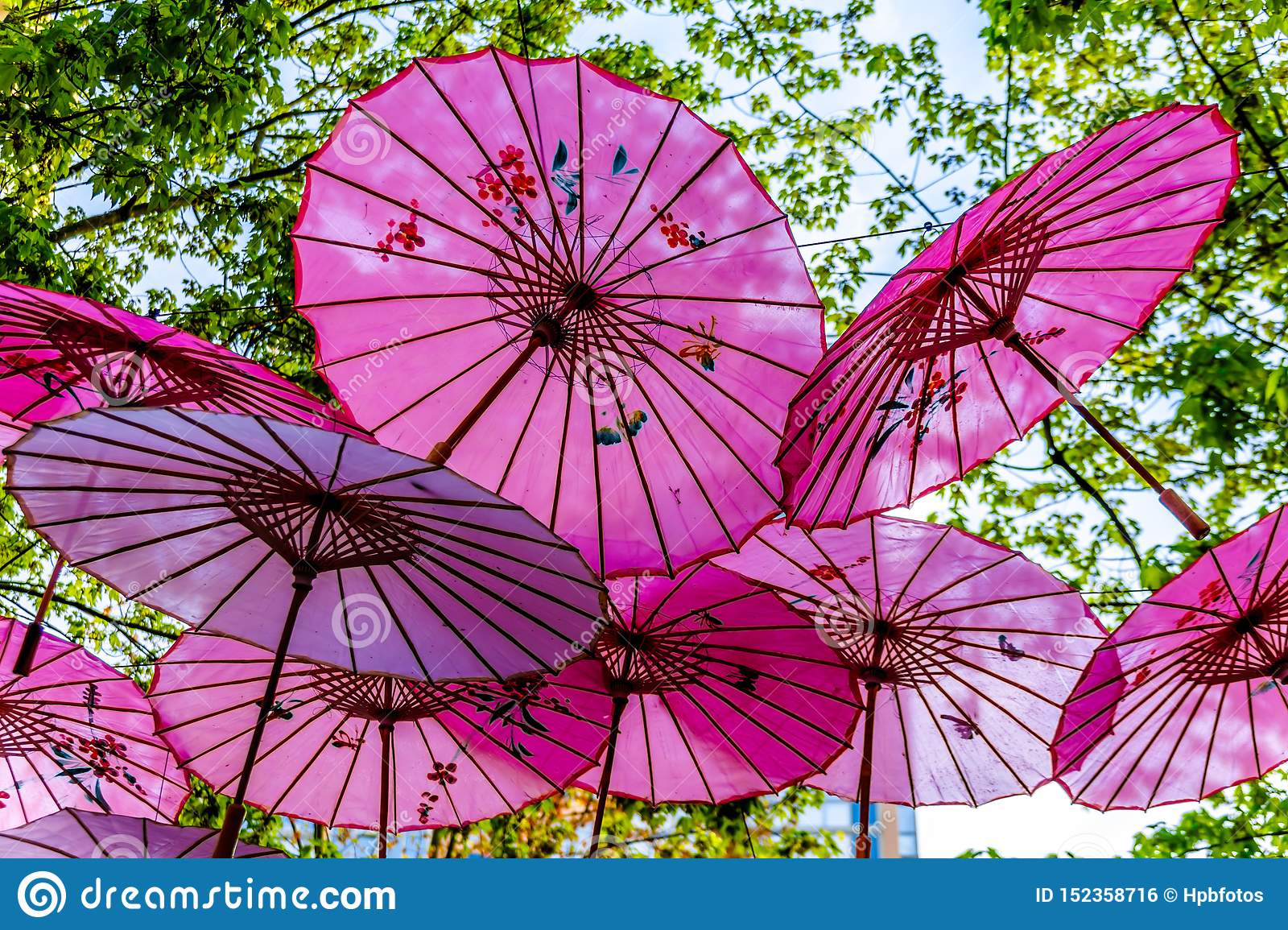 What are Chinese umbrellas called?