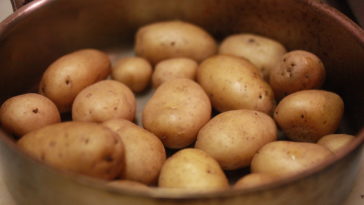 What are Yukon Gold potatoes best used for?