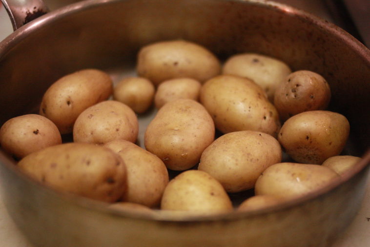 What are Yukon Gold potatoes best used for?