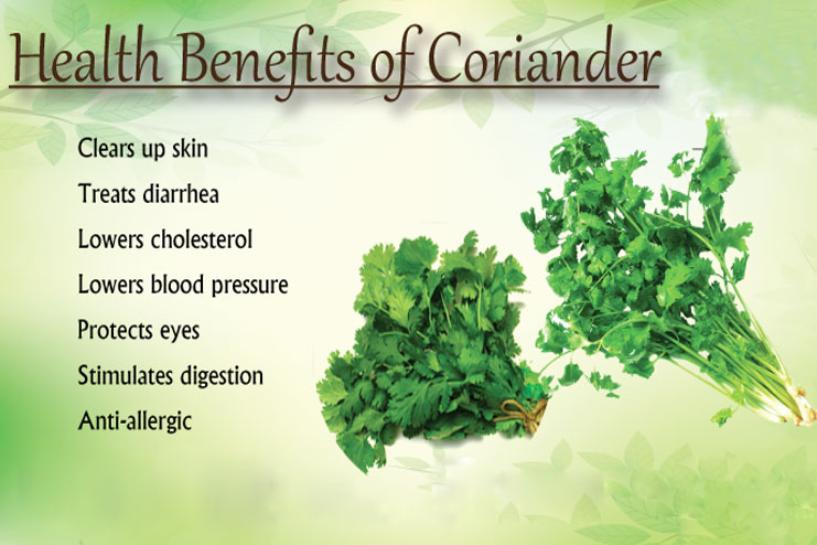 What are benefits of coriander?