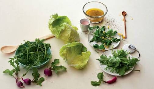 What are bitter herbs in the Bible?