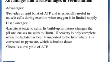 What are disadvantages of fermentation?