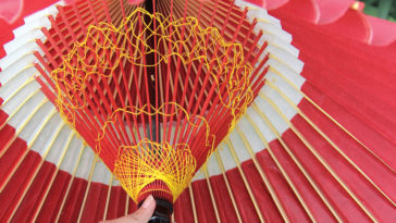 What are paper umbrellas called?