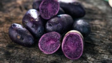 What are purple potatoes best for?