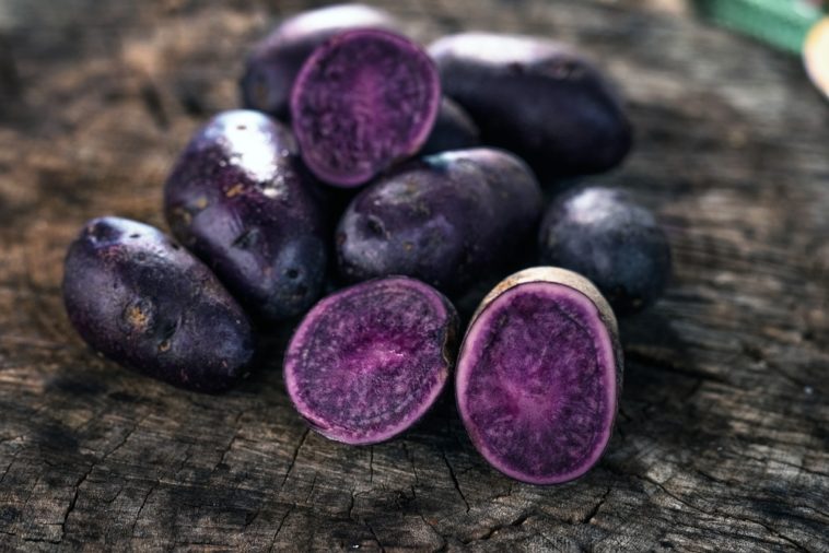 What are purple potatoes best for?