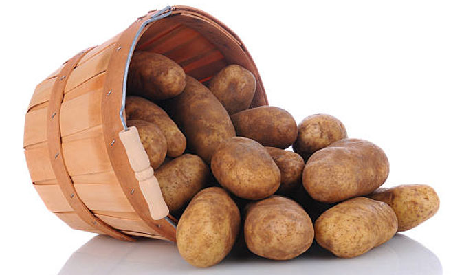 What are russet potatoes best used for?
