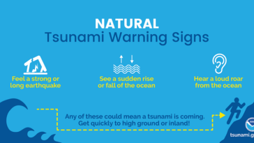What are some warning signs that a tsunami is coming?