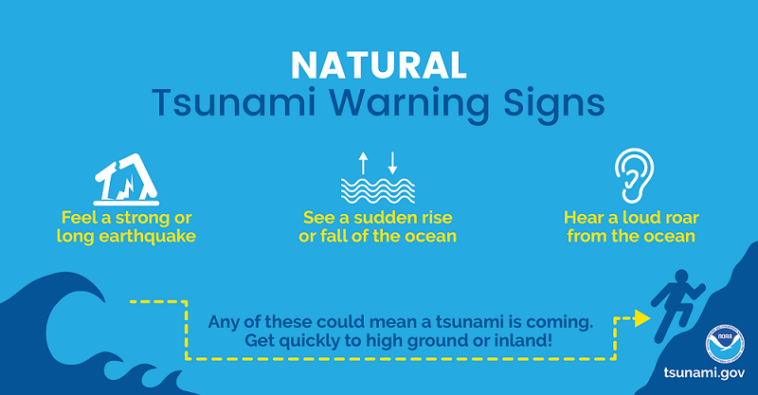 What are some warning signs that a tsunami is coming?