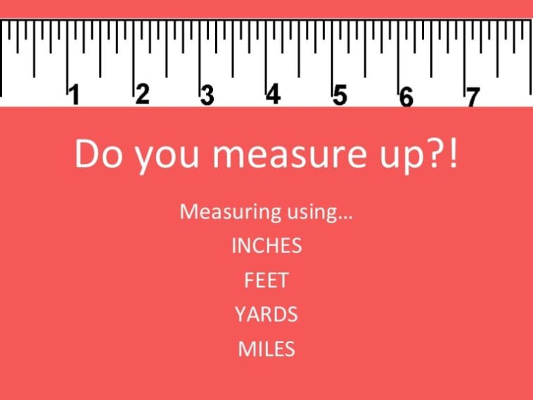 What are standard measurements?