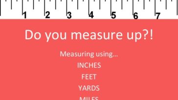 What are standard measurements?
