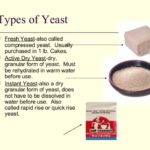 What are the 4 types of yeast?