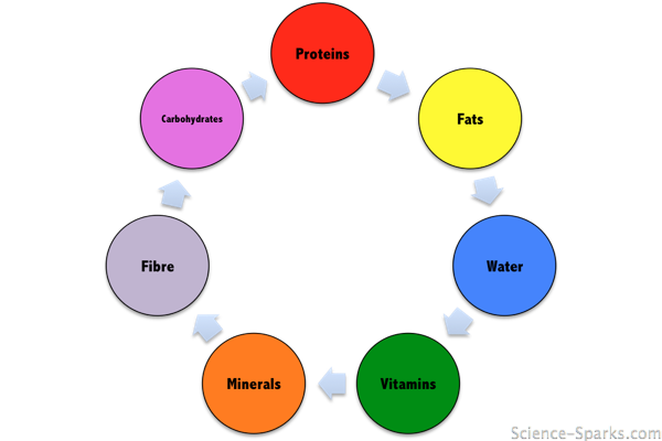 What are the 7 types of food?