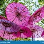 What are the Chinese umbrellas called?