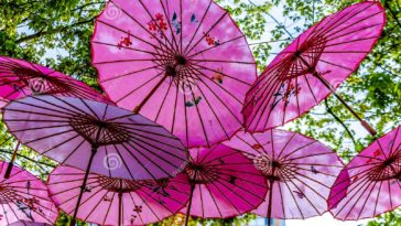 What are the Chinese umbrellas called?