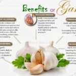 What are the benefits of purple garlic?