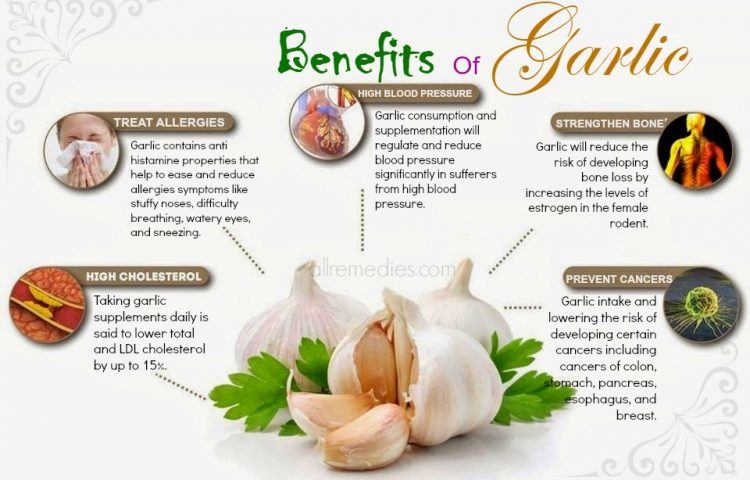 What are the benefits of purple garlic?