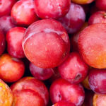 What are the best tasting plums?