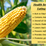 What are the disadvantages of eating corn?