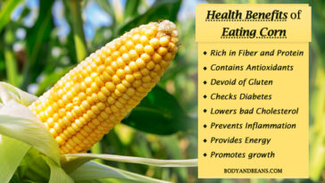 What are the disadvantages of eating corn?