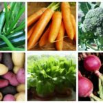 What are the easiest vegetables to grow UK?