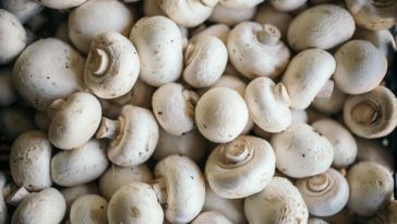 What are the healthiest mushrooms to eat?