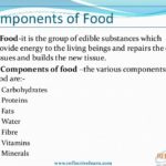 What are the main components of food?