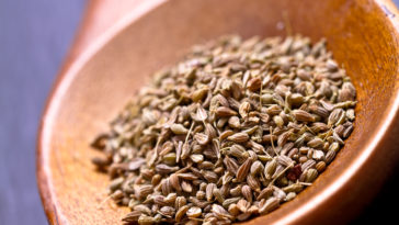 What are the side effects of anise?