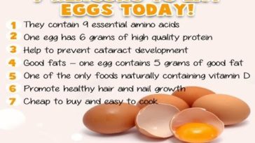 What are the side effects of eating eggs everyday?