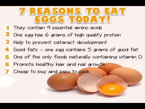 What are the side effects of eating eggs everyday?