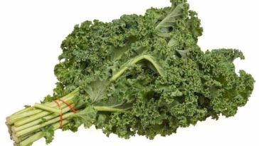 What are the side effects of eating too much kale?