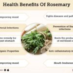 What are the side effects of rosemary?