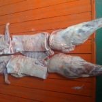 What are the six main classifications of meat cuts?