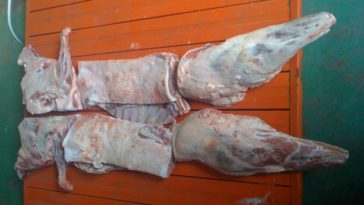 What are the six main classifications of meat cuts?