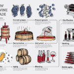 What are the steps to make red wine?