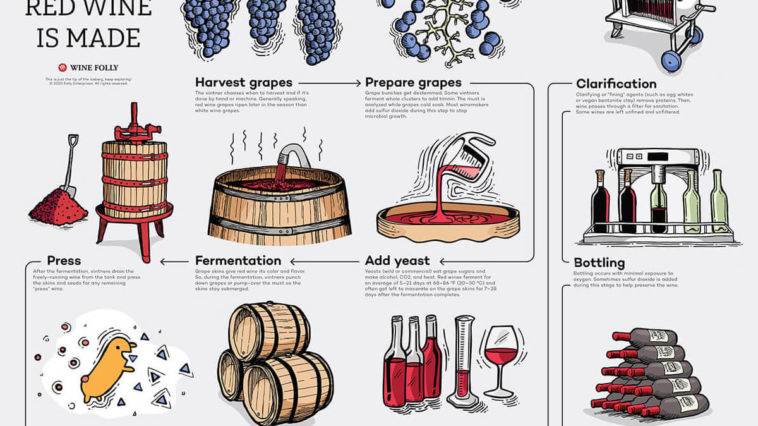 What are the steps to make red wine?