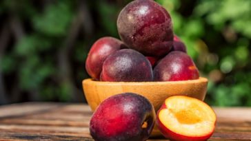 What are the sweetest plums?