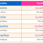 What are the two genders in Spanish?