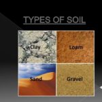 What are the types of Tong?