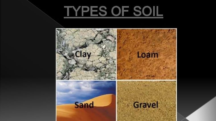 What are the types of Tong?