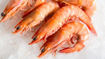 What are very large prawns called?