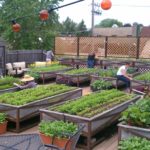 What aspect is best for vegetable gardens?