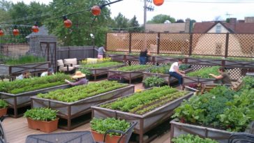 What aspect is best for vegetable gardens?