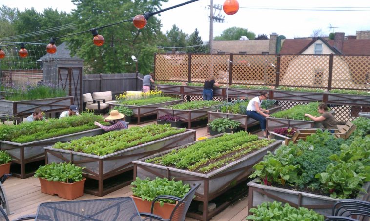 What aspect is best for vegetable gardens?