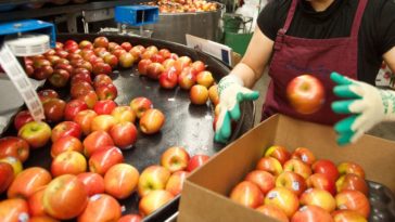 What brand of apple juice comes from China?