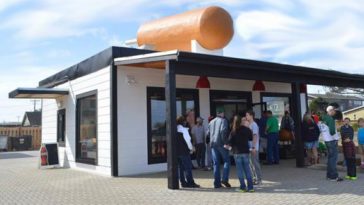 What came first corn dog or pronto pup?