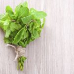 What can I do with lots of fresh mint?