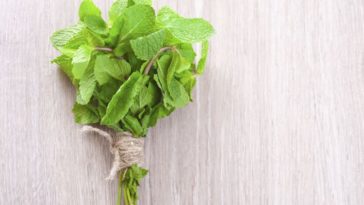 What can I do with lots of fresh mint?